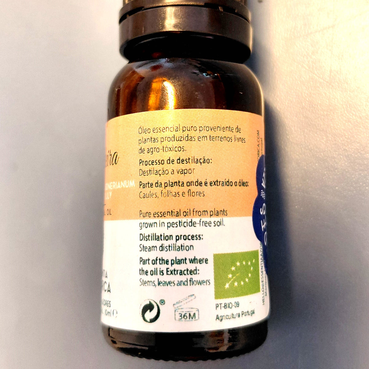 Ginger Lily (Conteira) Essential Oil – 10ml/100ml Hedychium gardnerianum | Essentia Azorica – Azores