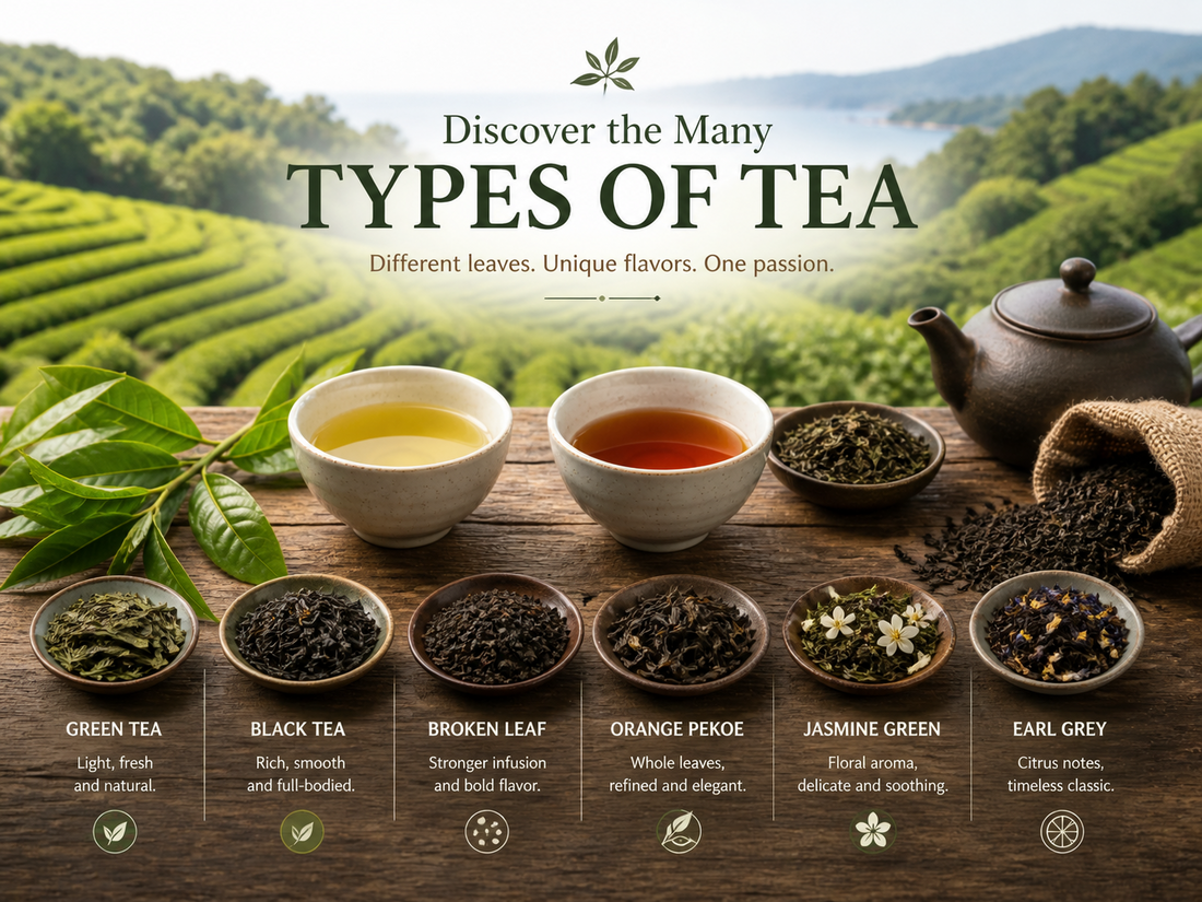 Types of Tea Explained – From Classic Leaves to Modern Blends