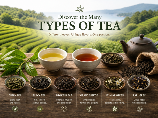 Types of Tea Explained – From Classic Leaves to Modern Blends