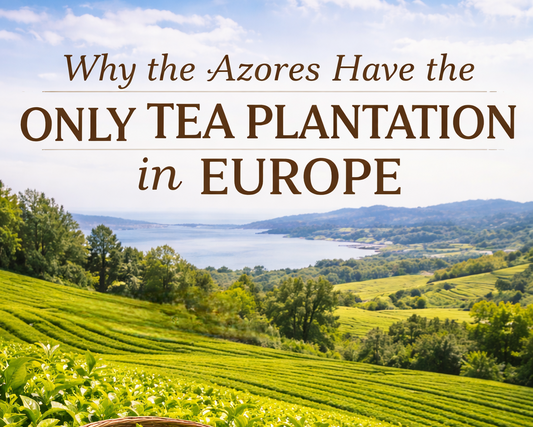 Why the Azores Have the Only Tea Plantation in Europe
