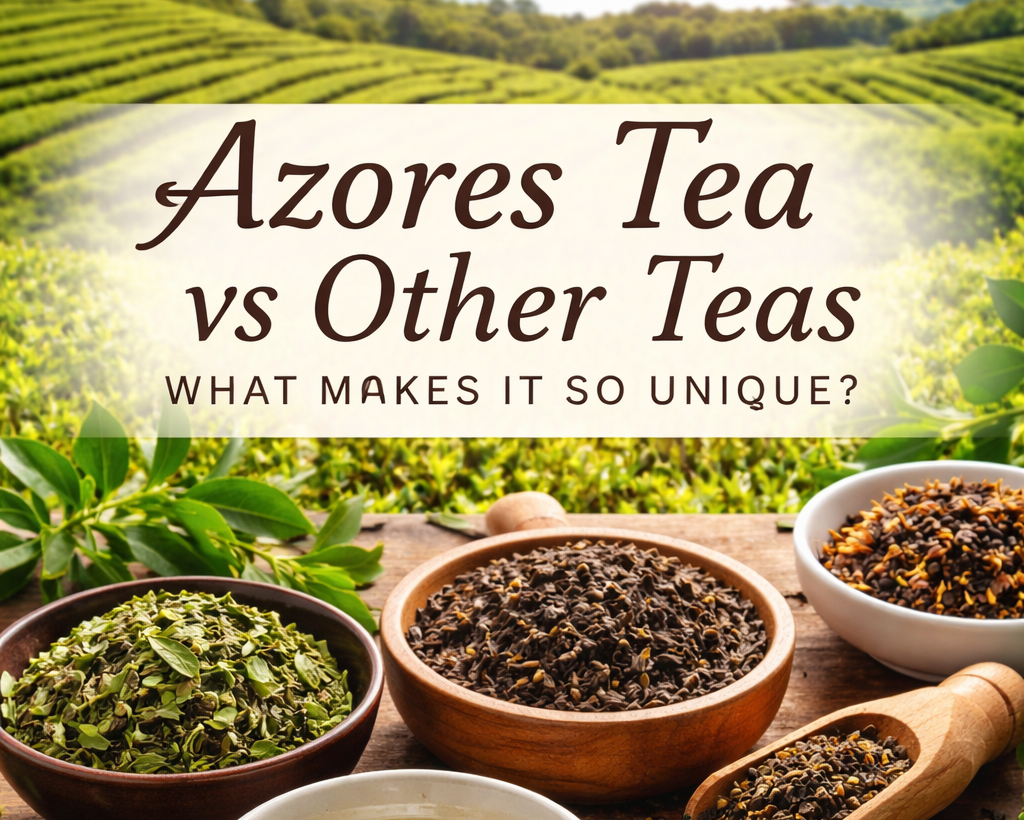 Azores tea vs other teas comparison green tea black tea orange pekoe broken leaf São Miguel