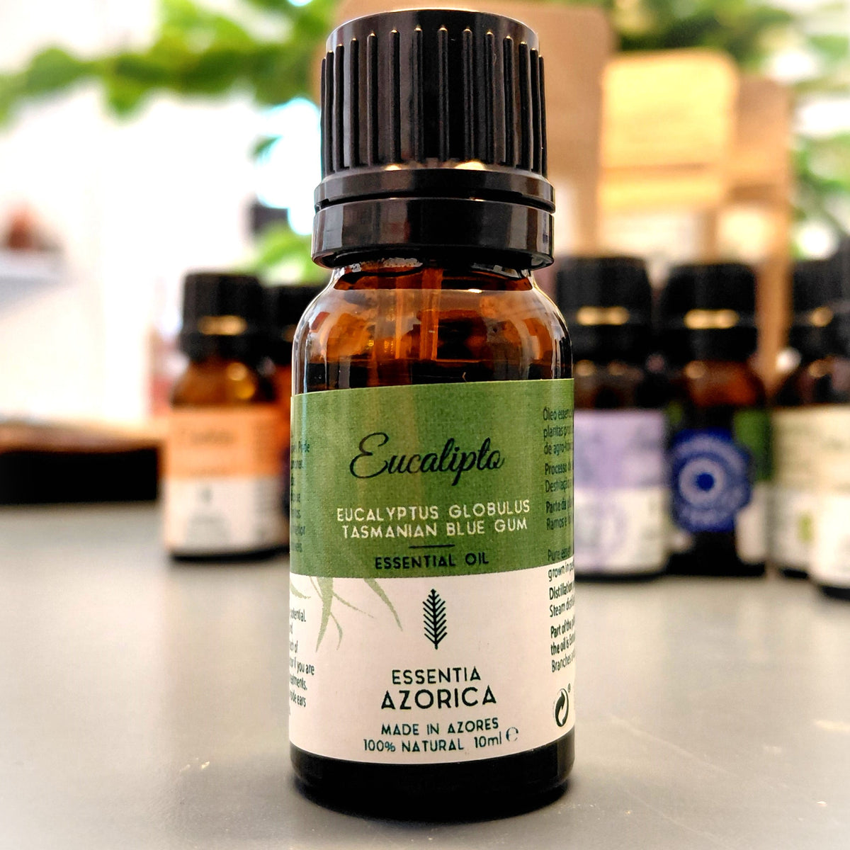 Eucalyptus Essential Oil – 10ml/100ml Eucalyptus globulus | Essentia Azorica – Azores glass bottle