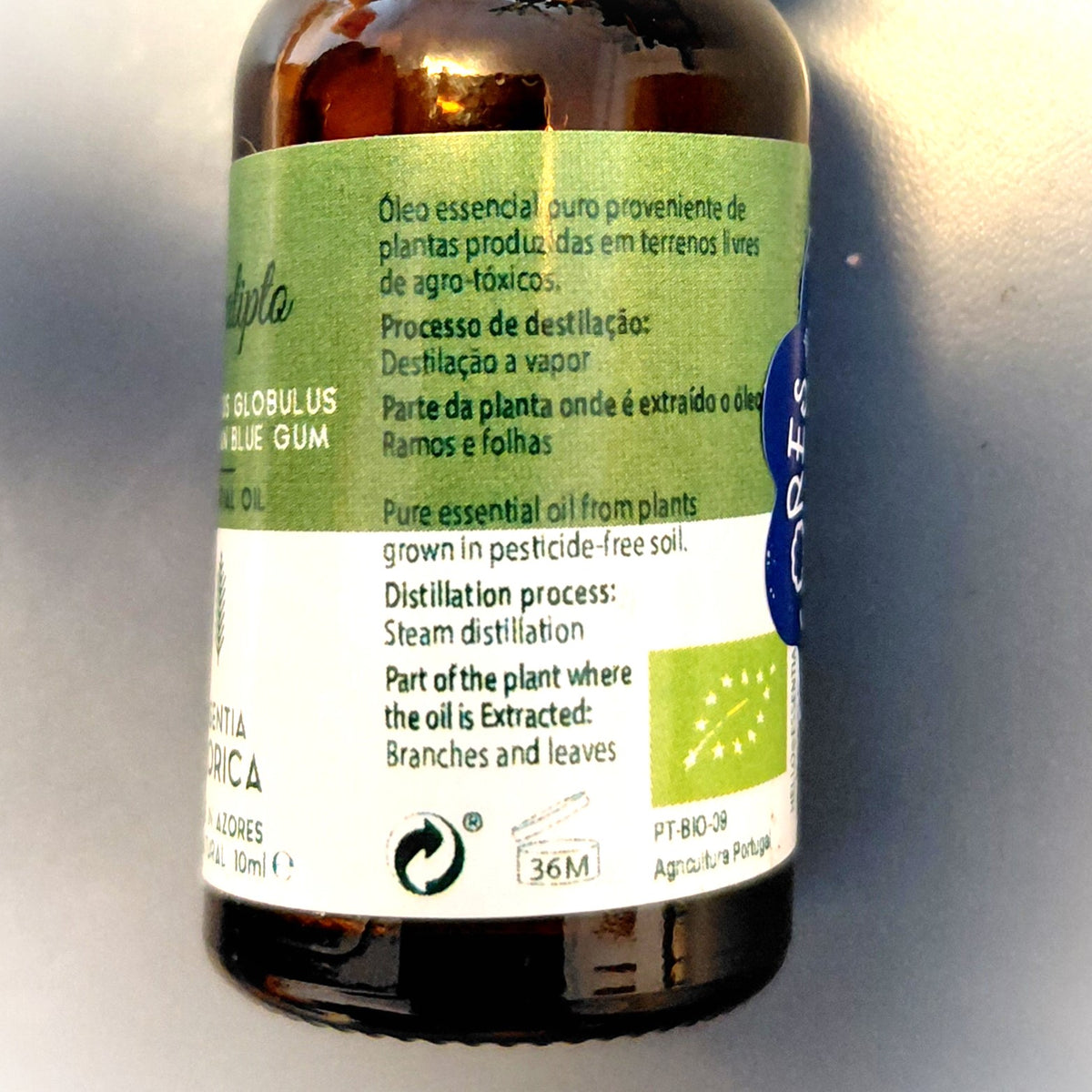 Eucalyptus Essential Oil – 10ml/100ml Eucalyptus globulus | Essentia Azorica – Azores glass bottle origin