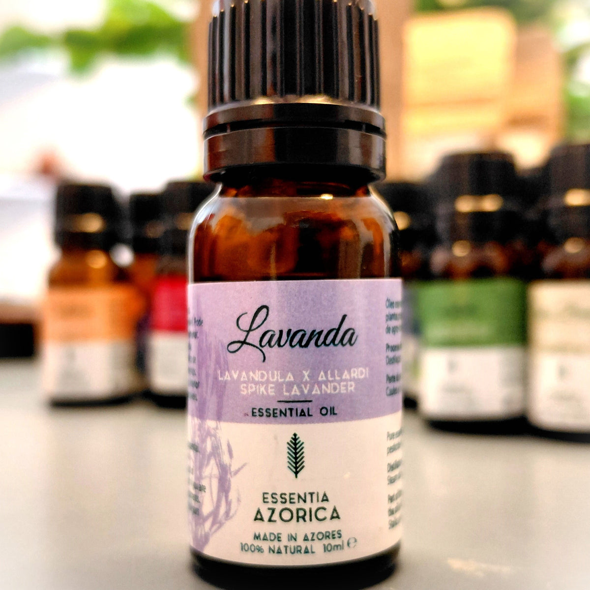 Lavender Allardi Essential Oil – 10ml/100ml Lavandula x Allardii | Essentia Azorica – Azores bootle