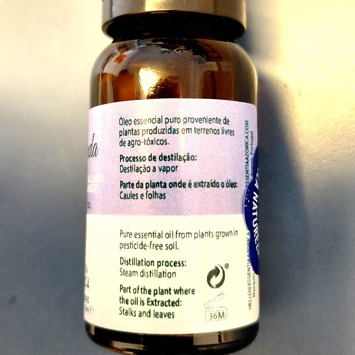 Lavender Allardi Essential Oil – 10ml/100ml Lavandula x Allardii | Essentia Azorica – Azores origin label