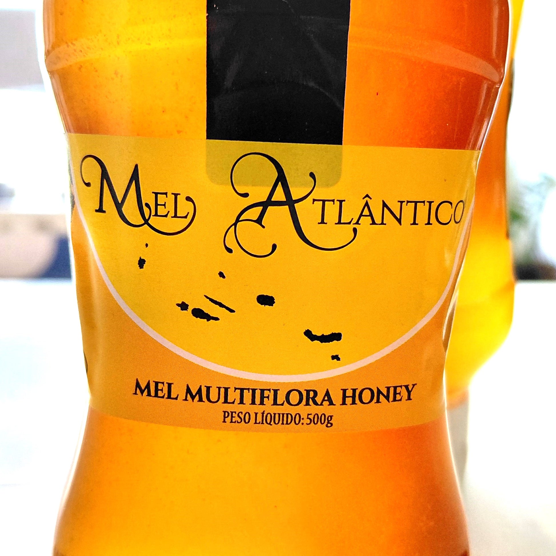 Mel do Atlantico Multifloral Honey 500g squeeze bottle front