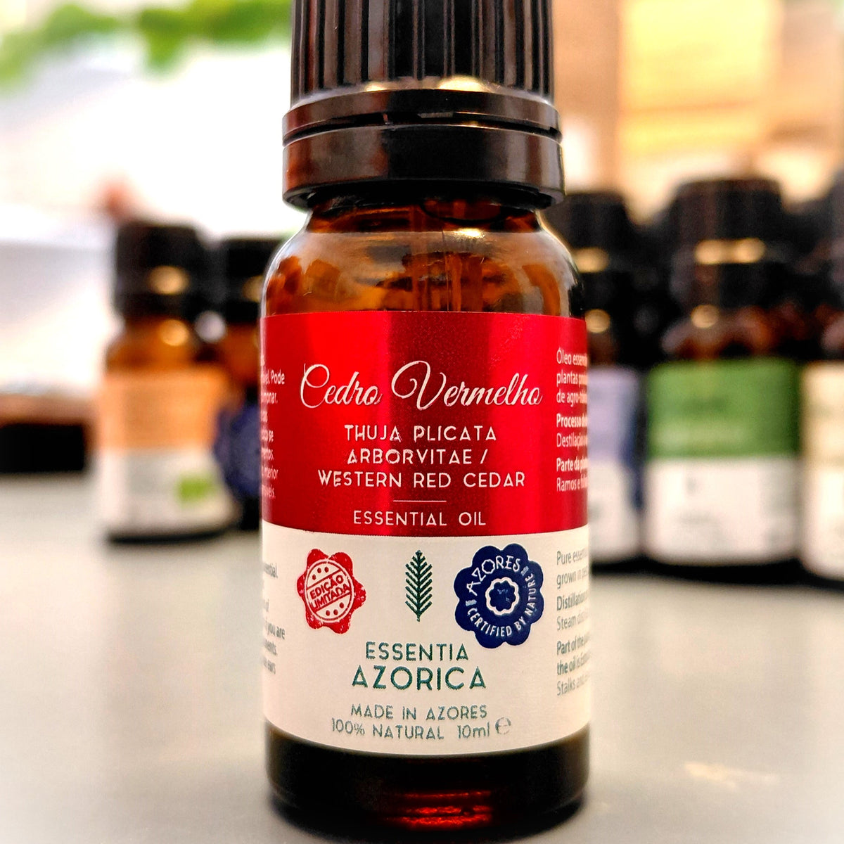 Western Red Cedar Essential Oil – 10ml/100ml Thuja plicata | Essentia Azorica – Azores Glass Bottle
