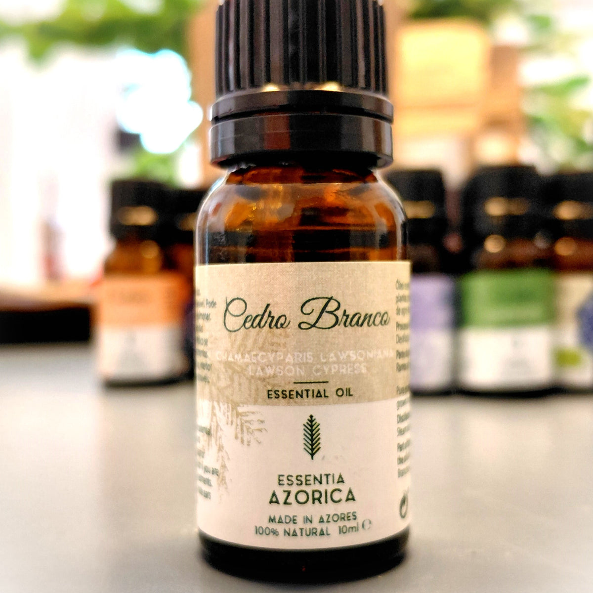 White Cedar Essential Oil – 10ml/100ml Chamaecyparis lawsoniana | Essentia Azorica – Azores Glass bottle front