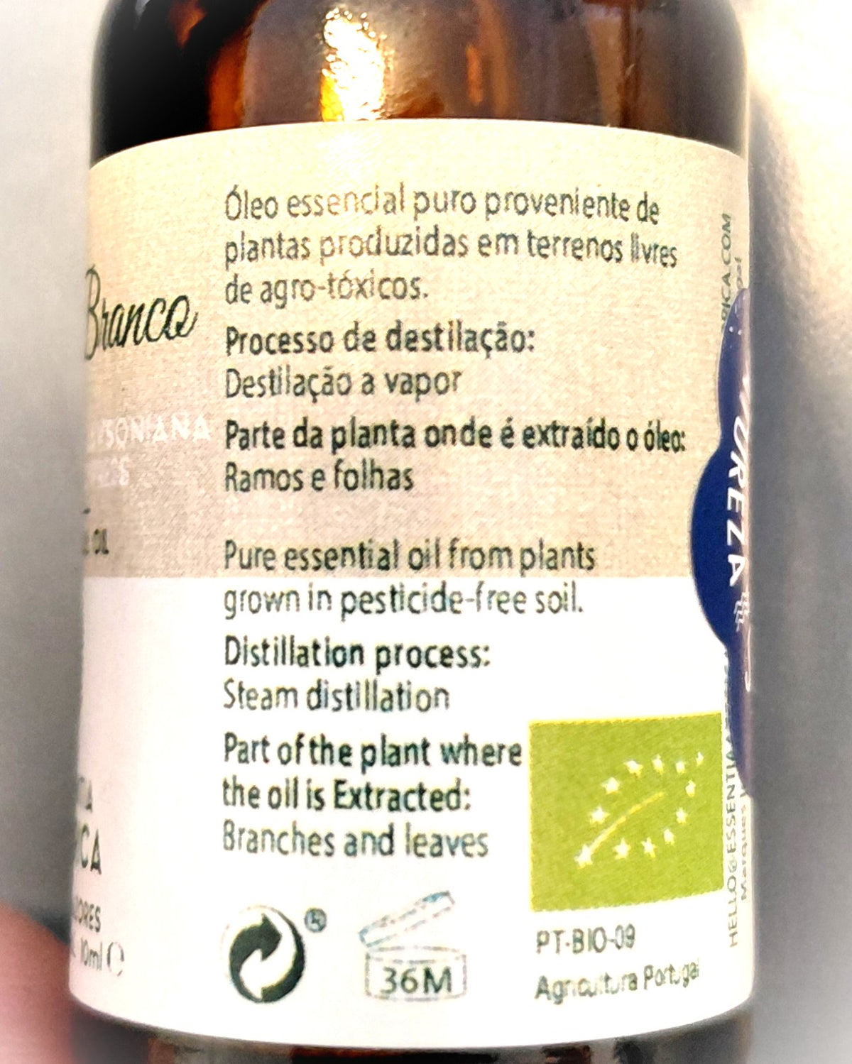 White Cedar Essential Oil – 10ml/100ml Chamaecyparis lawsoniana | Essentia Azorica – Azores Glass bottle origin